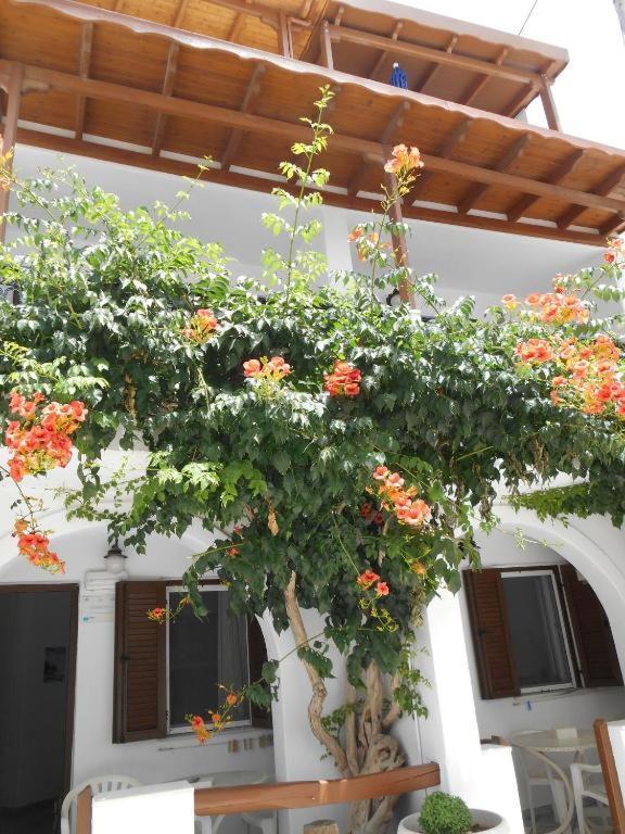 Summerfell Agia Anna (Naxos) Exterior foto