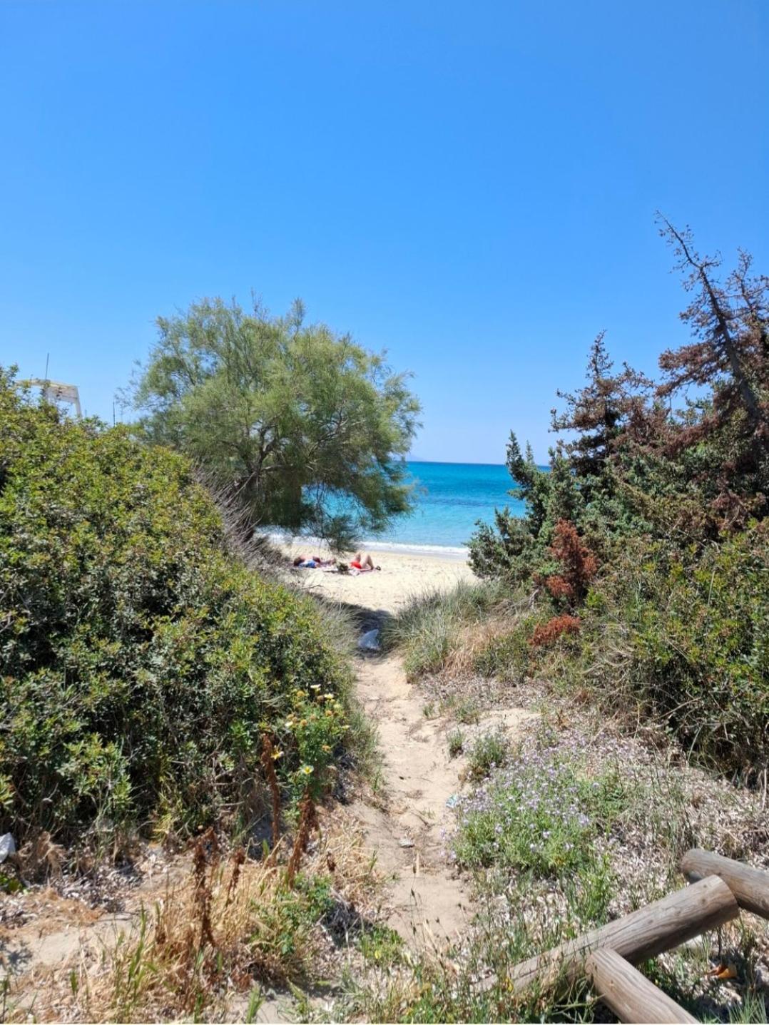 Summerfell Agia Anna (Naxos) Exterior foto